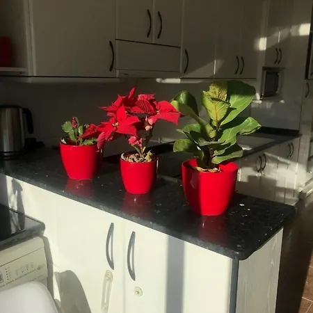 Apartamento Gran De 4 En Sitges