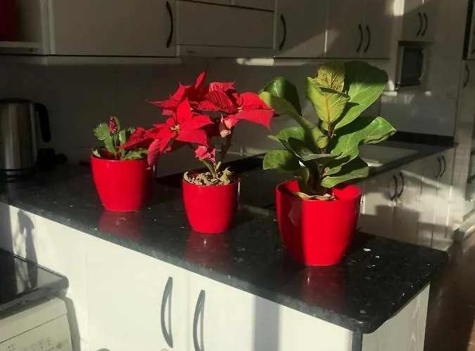 Apartamento Gran De 4 En Sitges